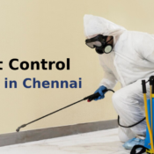 Top 10 Pest Control Companies in Chennai