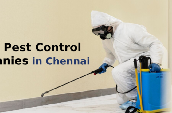 The Most Effective Top 10 Pest Control Companies in Chennai