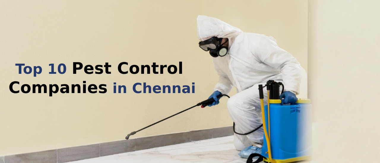 Top 10 Pest Control Companies in Chennai