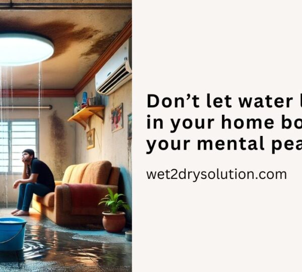 Wet2Dry Solutions pvt Ltd