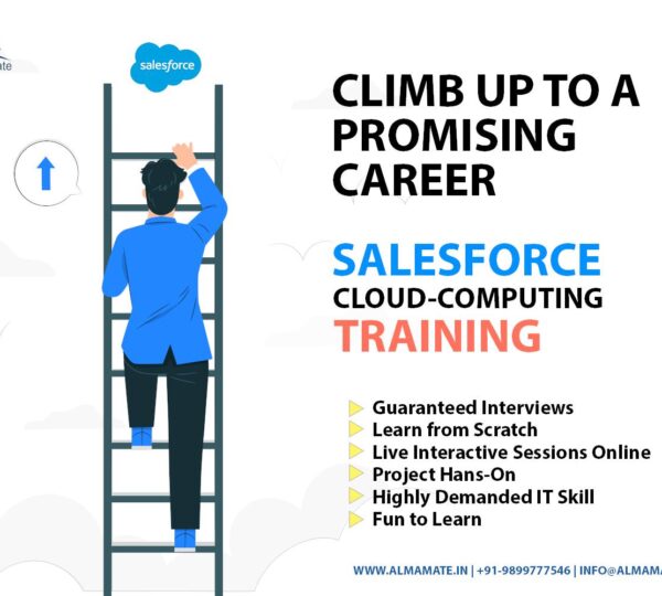 AlmaMate Info Tech | Salesforce Training