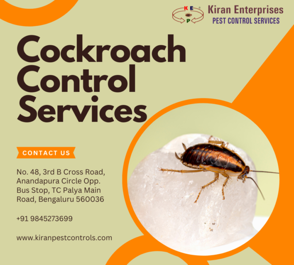 Cockroach Control Services in Magadi Road | Safe & Trusted