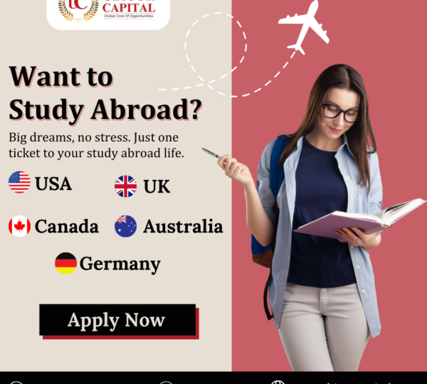 Ubicor Capital Immigration and Education Consultant